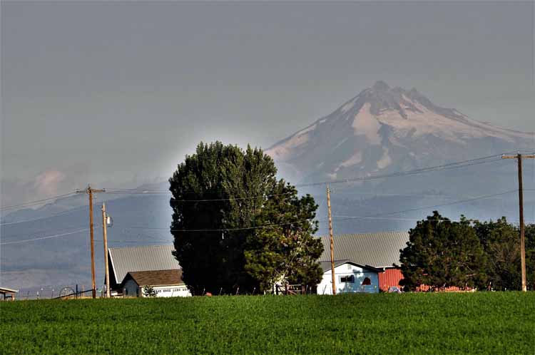 mt jefferson